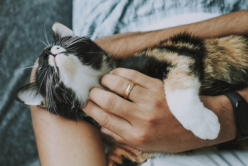 Self-Care Image